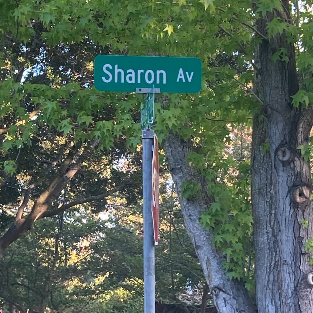 Meet your Posher, Sharon